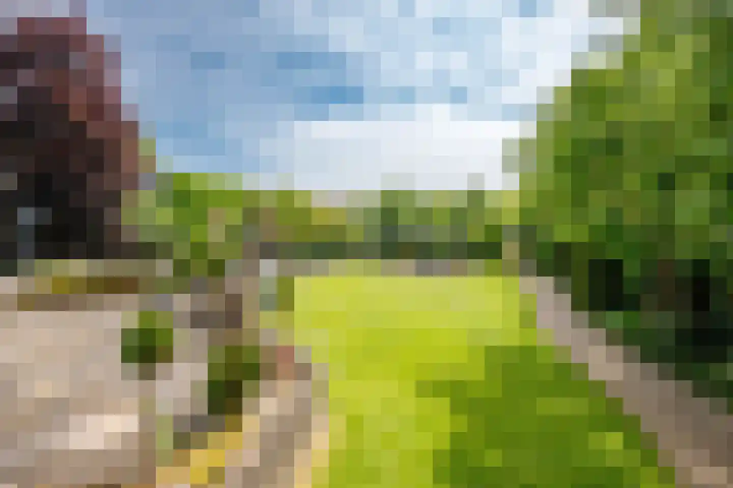 Julianastraat 86 Moerkapelle thumbnail 4