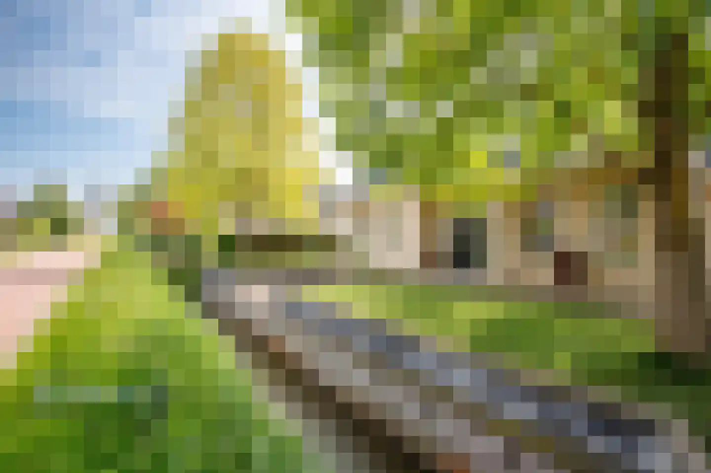 Julianastraat 86 Moerkapelle thumbnail 46
