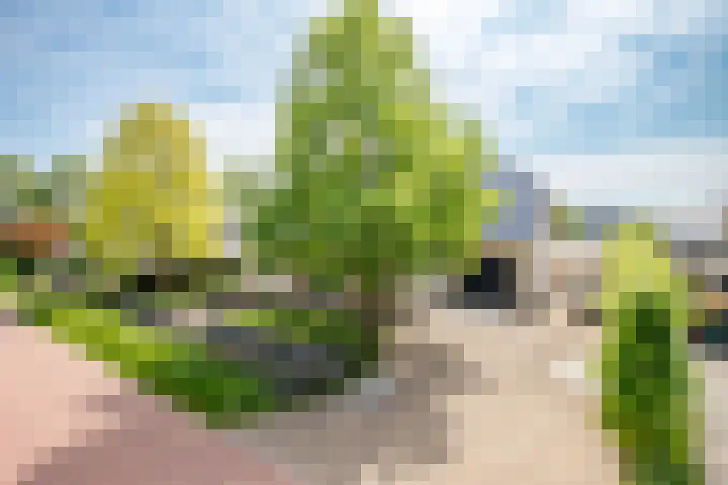 Julianastraat 86 Moerkapelle thumbnail 5