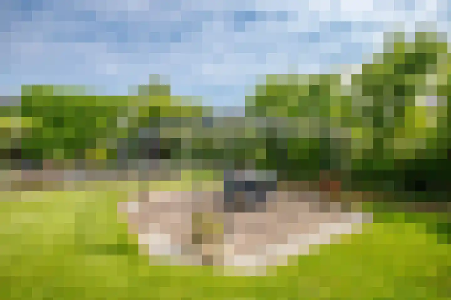 Julianastraat 86 Moerkapelle thumbnail 52