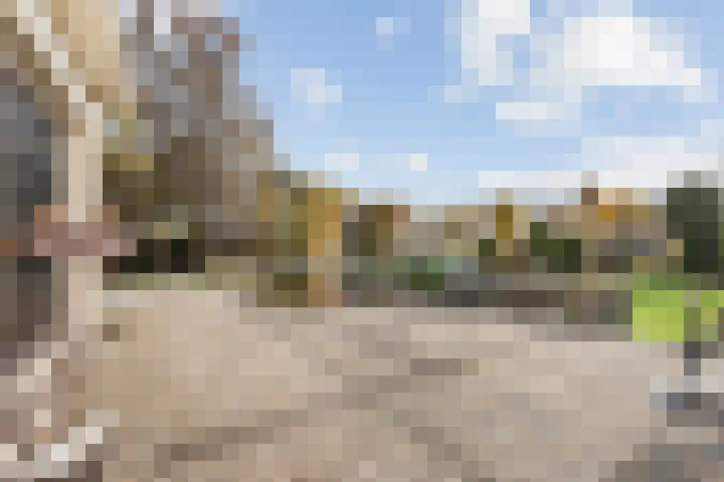 Julianastraat 86 Moerkapelle thumbnail 54