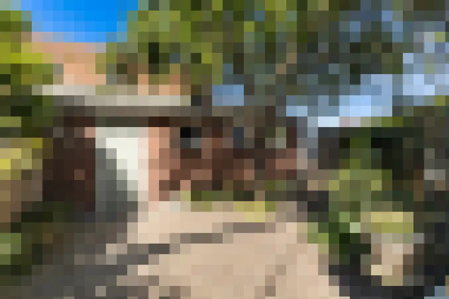 Julianastraat 86 Oud-Beijerland thumbnail 20