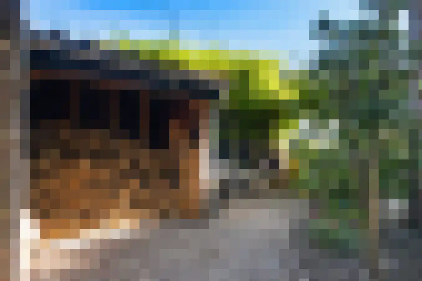 Julianastraat 86 Oud-Beijerland thumbnail 23