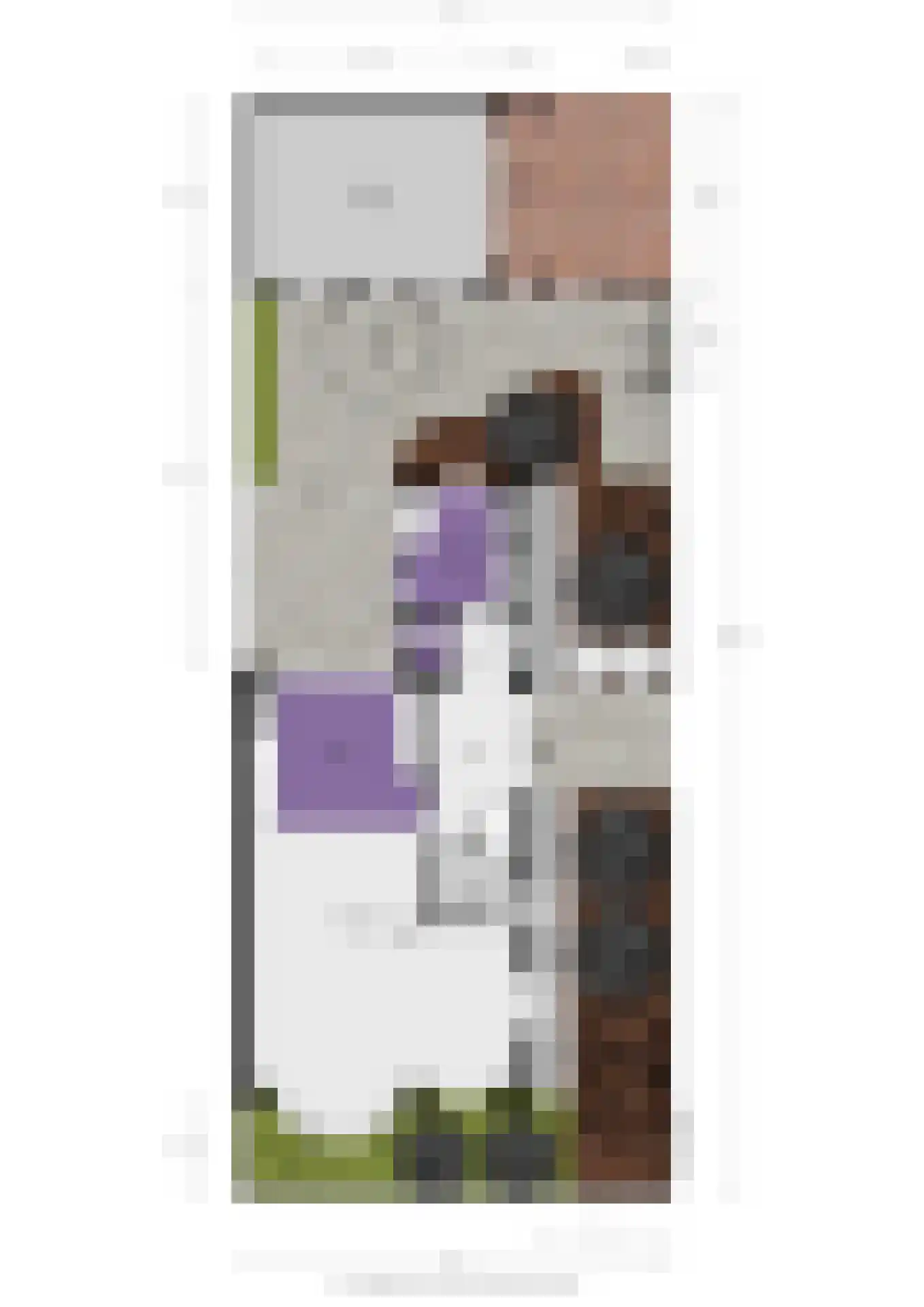 Julianastraat 86 Oud-Beijerland thumbnail 45