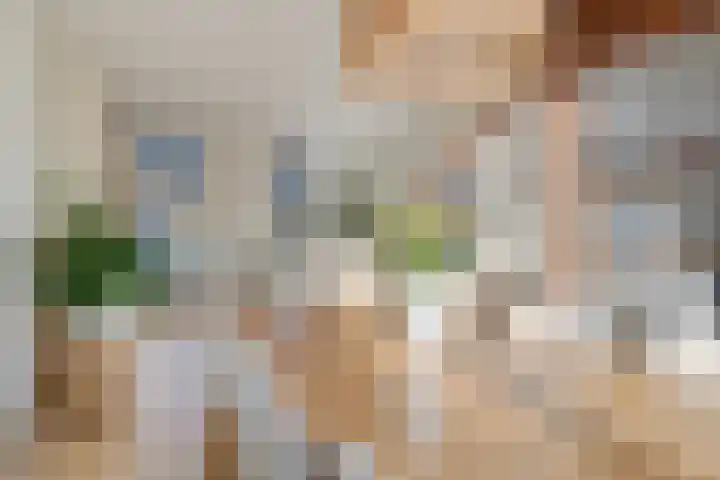 Julianastraat 86 Oude-Tonge thumbnail 11