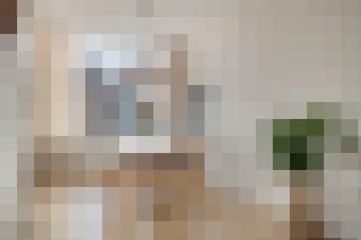 Julianastraat 86 Oude-Tonge thumbnail 12