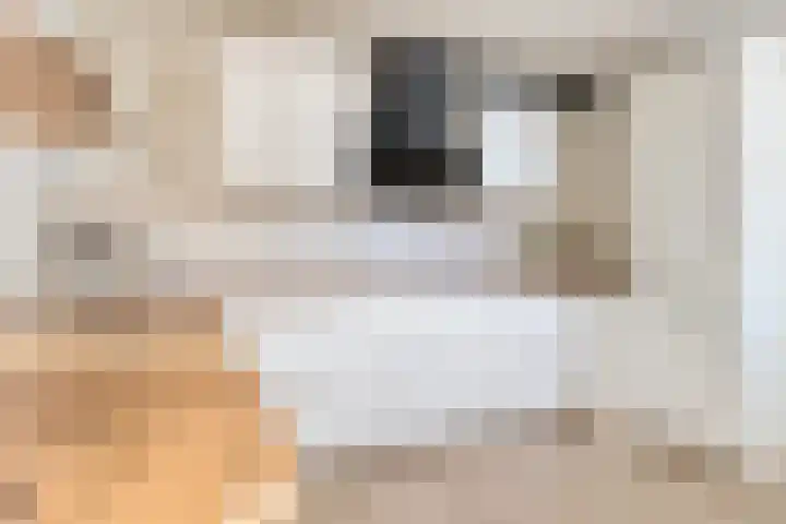 Julianastraat 86 Oude-Tonge thumbnail 14
