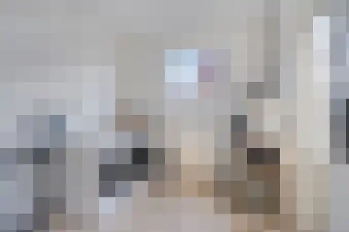 Julianastraat 86 Oude-Tonge thumbnail 16
