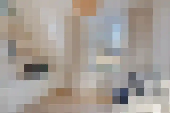 Julianastraat 86 Oude-Tonge thumbnail 24