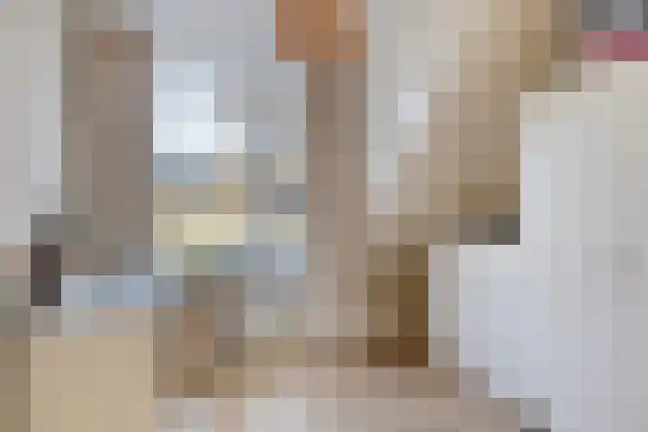 Julianastraat 86 Oude-Tonge thumbnail 26