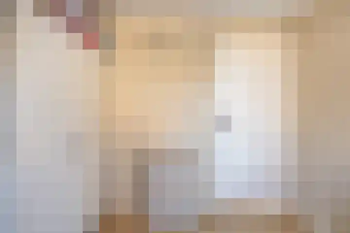 Julianastraat 86 Oude-Tonge thumbnail 27