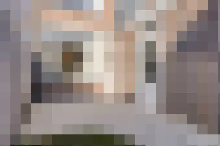 Julianastraat 86 Oude-Tonge thumbnail 32