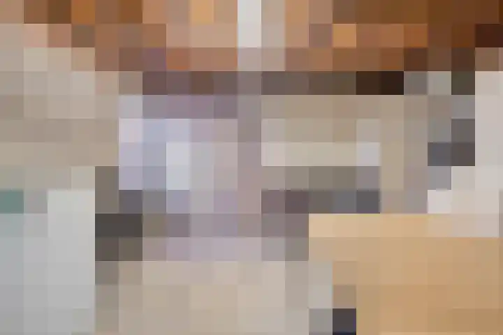 Julianastraat 86 Oude-Tonge thumbnail 36