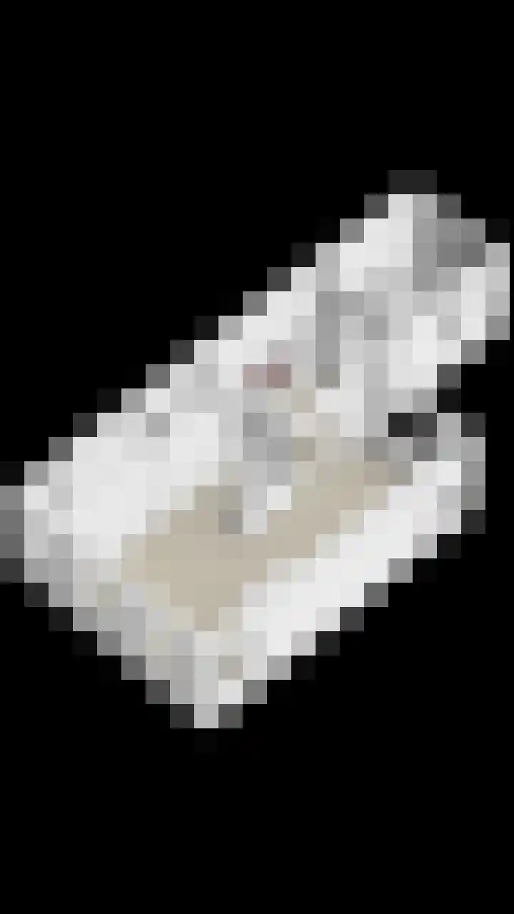 Julianastraat 86 Oude-Tonge thumbnail 45