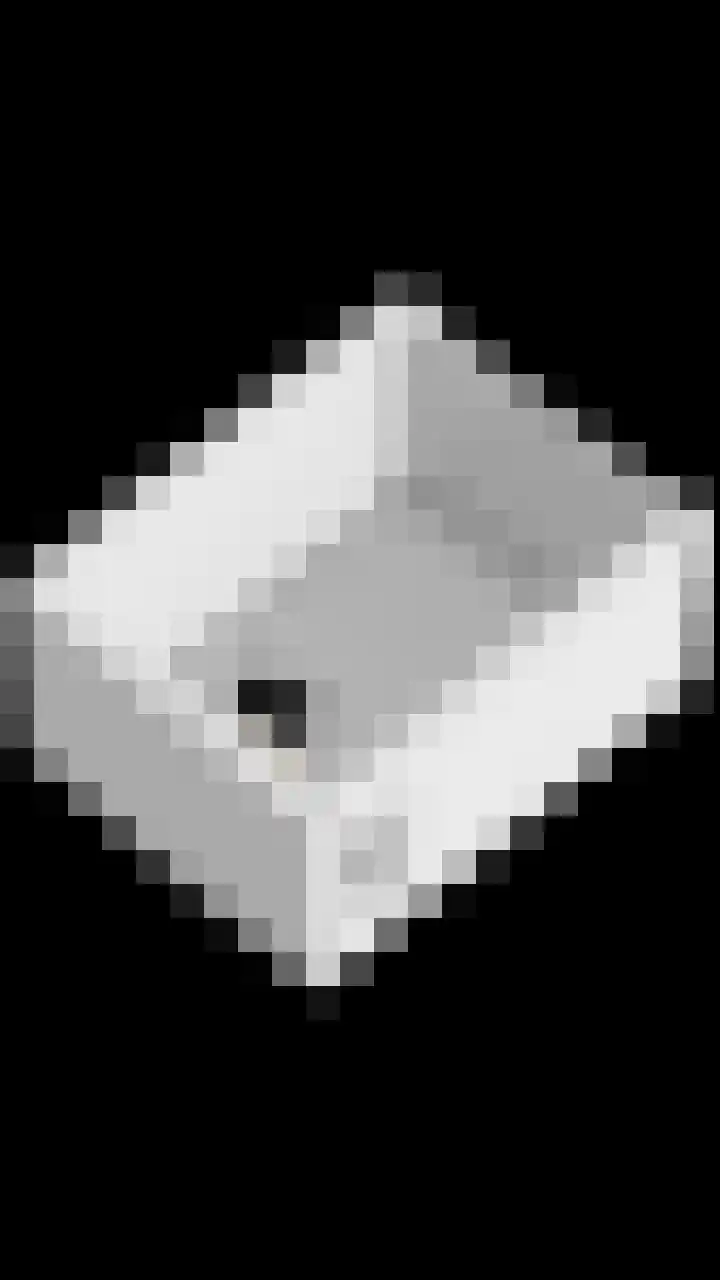Julianastraat 86 Oude-Tonge thumbnail 48