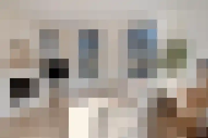 Julianastraat 86 Oude-Tonge thumbnail 9