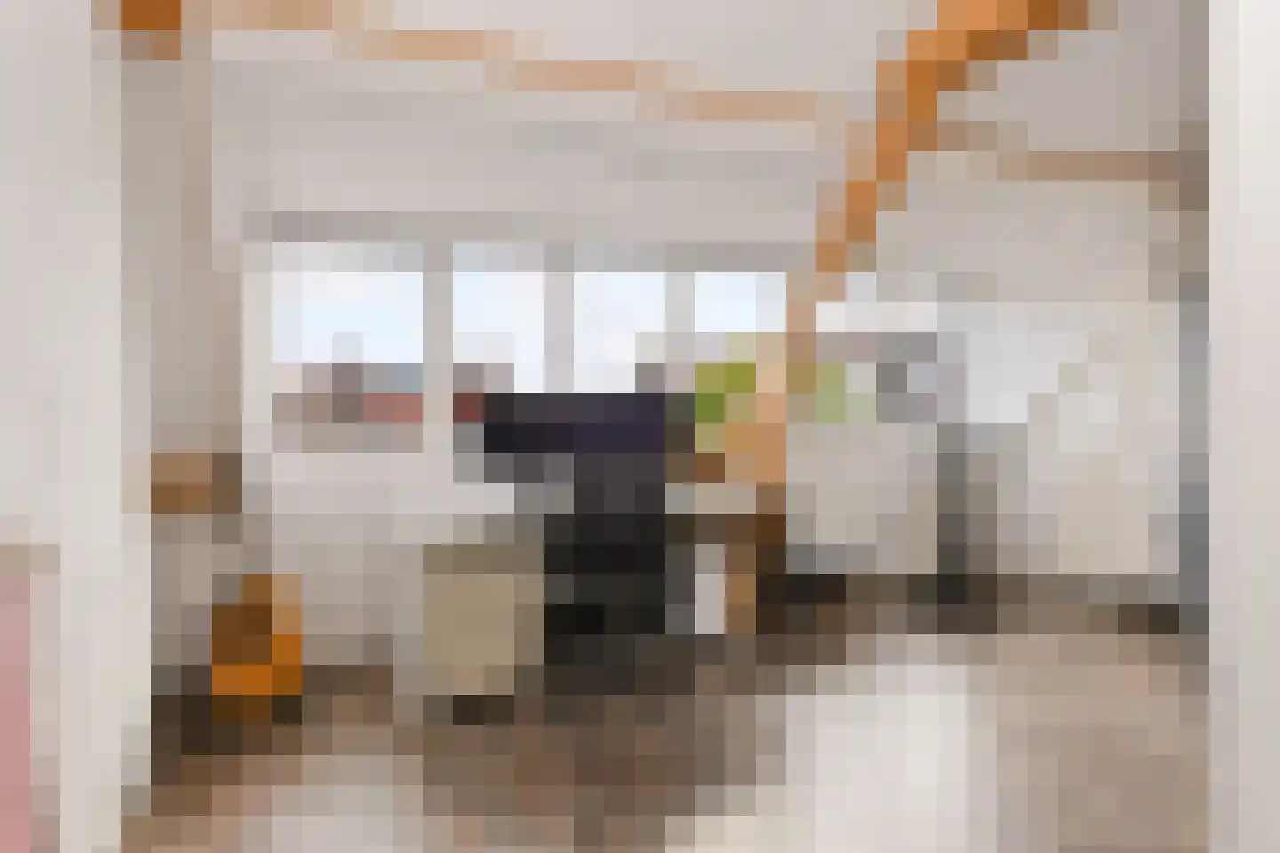 Julianastraat 9 Eindhoven thumbnail 29
