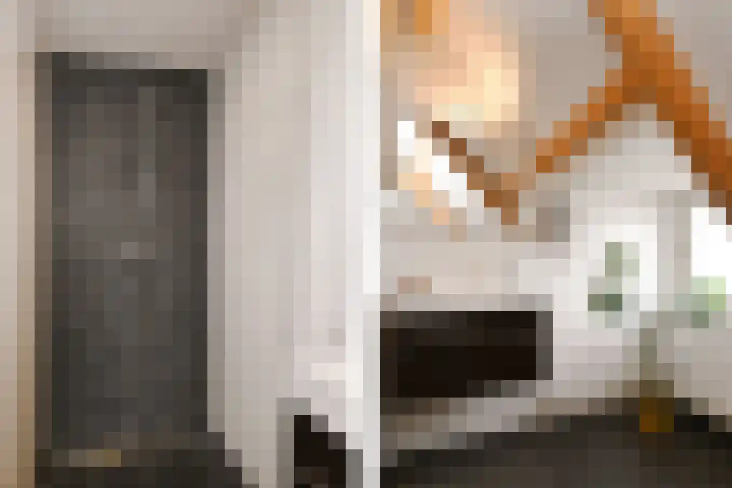 Julianastraat 9 Eindhoven thumbnail 31