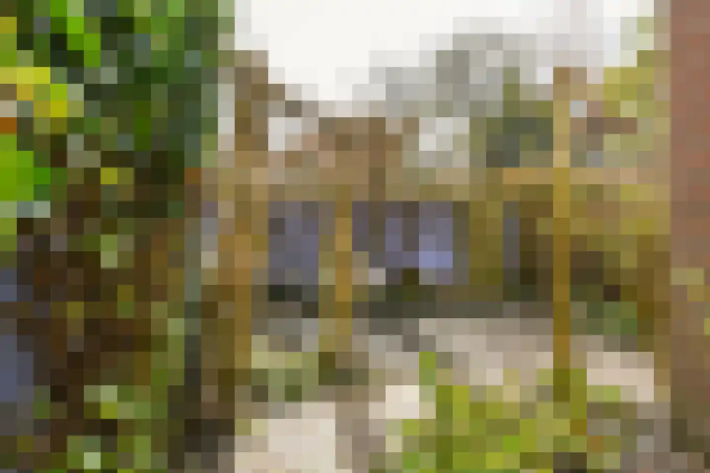 Julianastraat 9 Eindhoven thumbnail 33