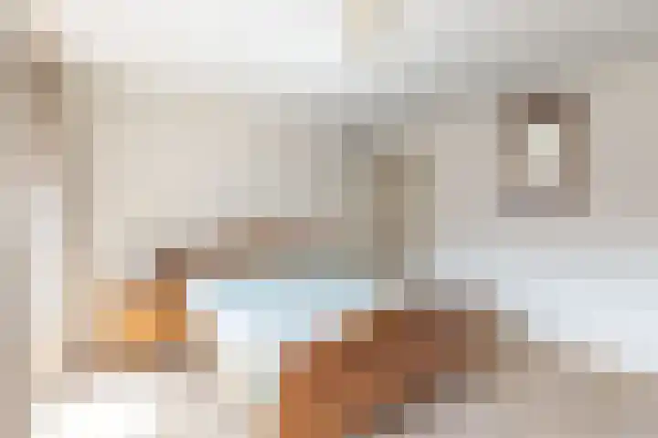 Julianastraat 9 Rucphen thumbnail 21