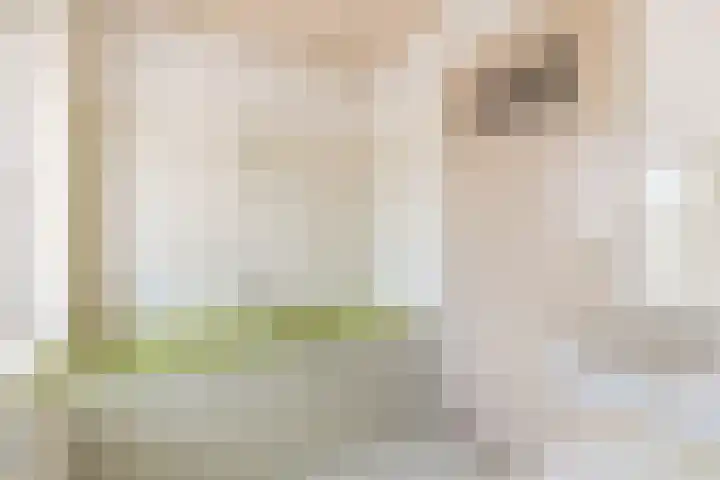 Julianastraat 9 Rucphen thumbnail 24