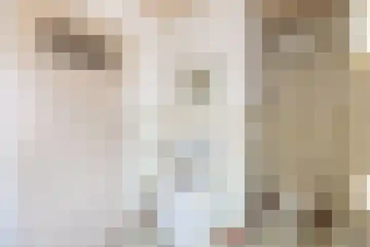 Julianastraat 9 Rucphen thumbnail 25