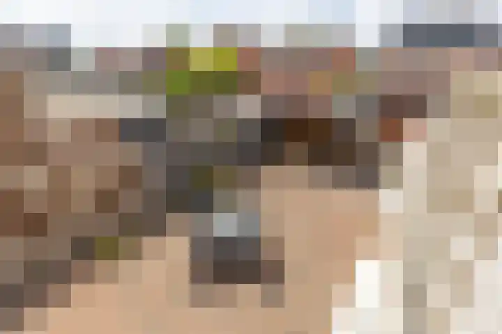 Julianastraat 9 Rucphen thumbnail 36