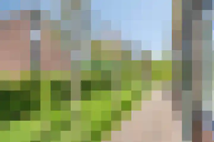 Julianastraat 9 Valburg thumbnail 101