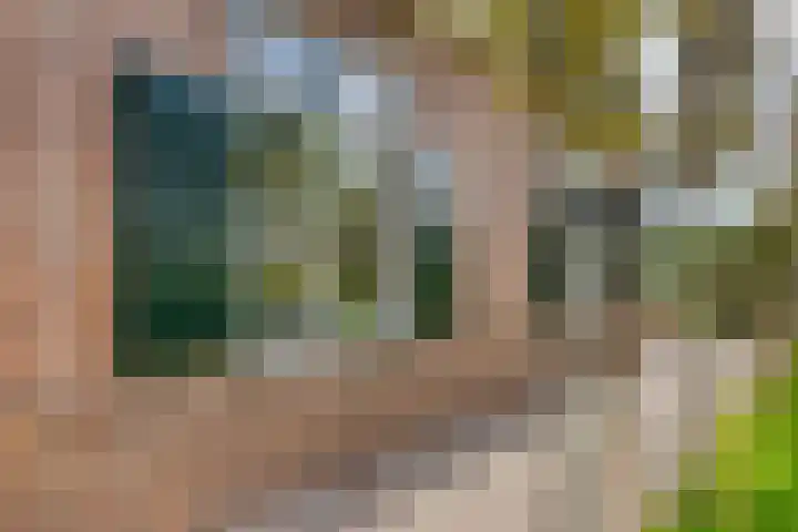 Julianastraat 9 Valburg thumbnail 102