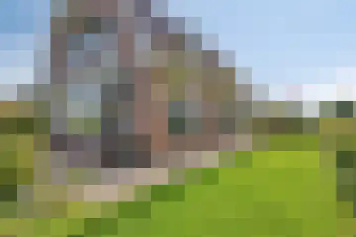 Julianastraat 9 Valburg thumbnail 103