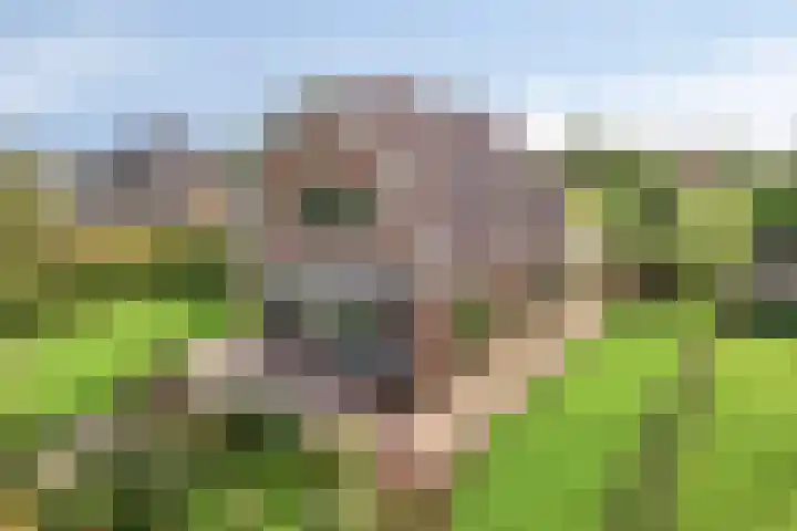Julianastraat 9 Valburg thumbnail 104