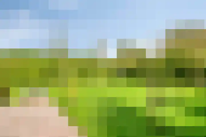 Julianastraat 9 Valburg thumbnail 105