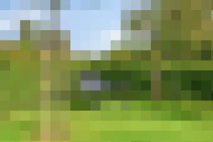 Julianastraat 9 Valburg thumbnail 106