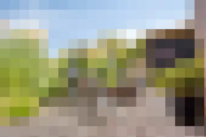 Julianastraat 9 Valburg thumbnail 111
