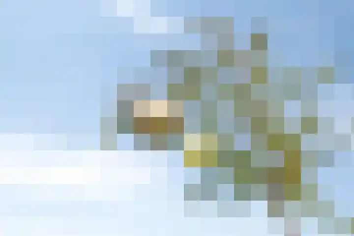 Julianastraat 9 Valburg thumbnail 113