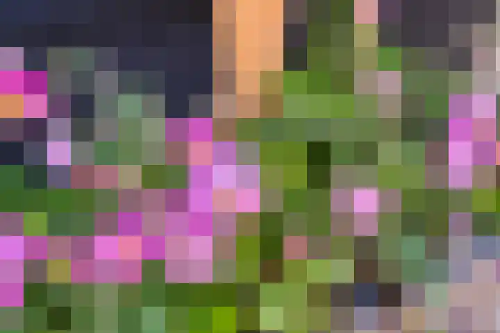 Julianastraat 9 Valburg thumbnail 115