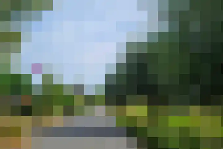 Julianastraat 9 Valburg thumbnail 120