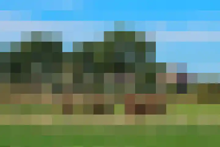 Julianastraat 9 Valburg thumbnail 122