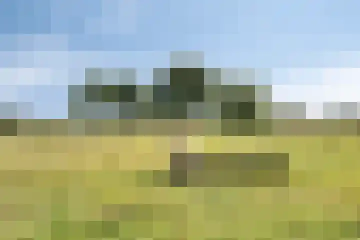 Julianastraat 9 Valburg thumbnail 128