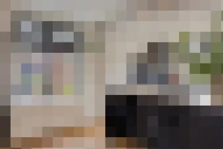 Julianastraat 9 Valburg thumbnail 15