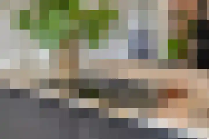 Julianastraat 9 Valburg thumbnail 17