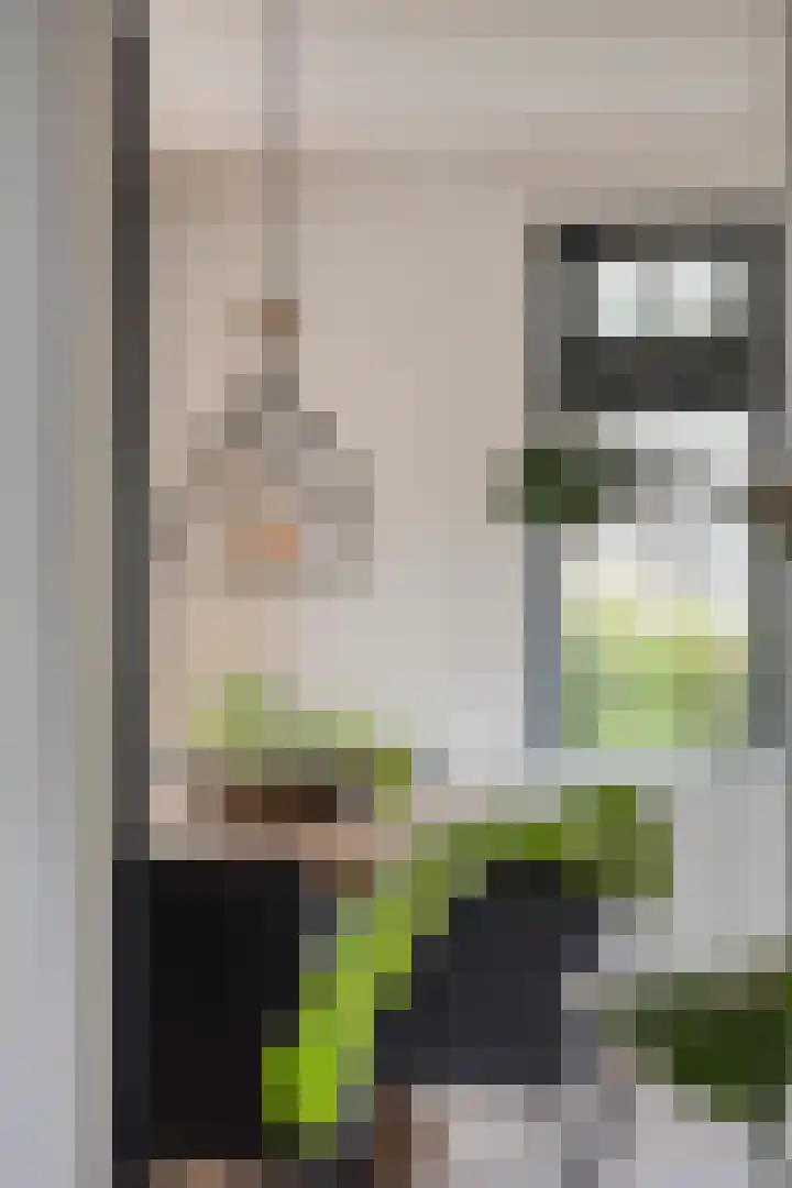Julianastraat 9 Valburg thumbnail 20