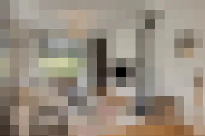 Julianastraat 9 Valburg thumbnail 29
