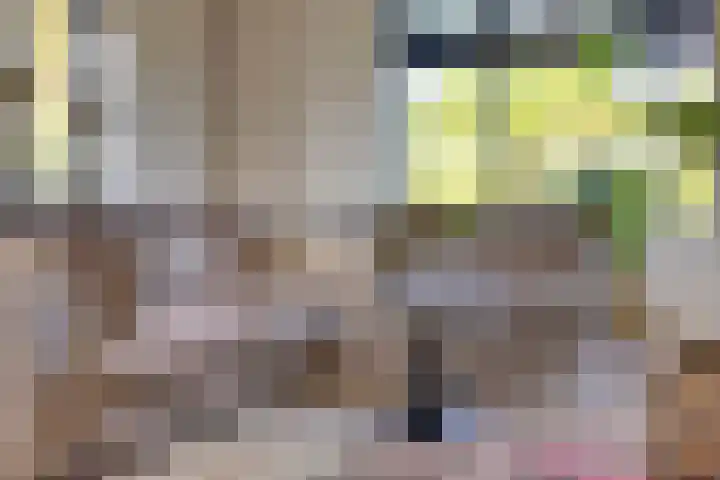 Julianastraat 9 Valburg thumbnail 30