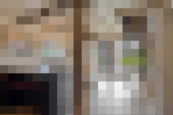 Julianastraat 9 Valburg thumbnail 40