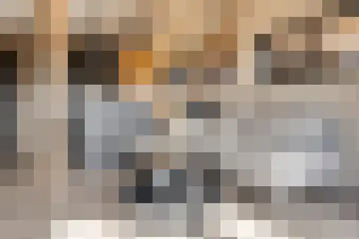 Julianastraat 9 Valburg thumbnail 43