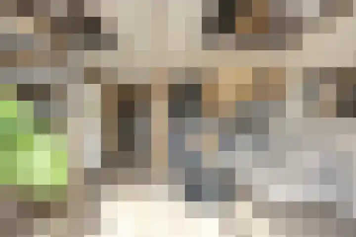 Julianastraat 9 Valburg thumbnail 44