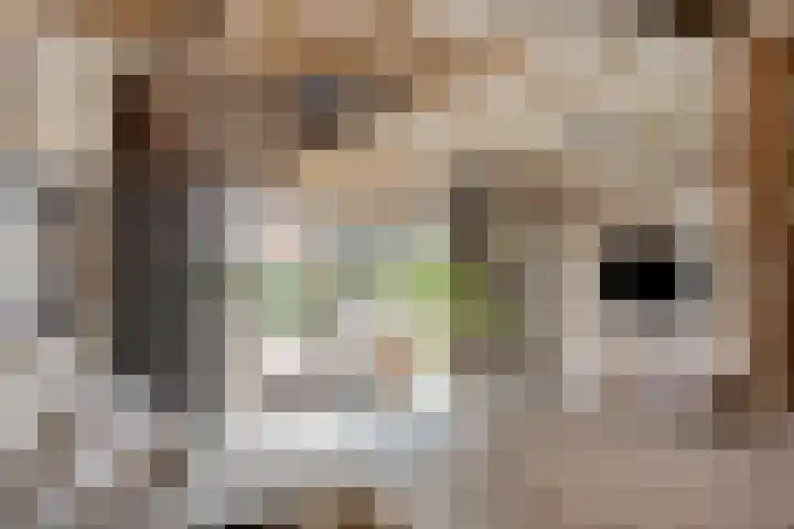 Julianastraat 9 Valburg thumbnail 47