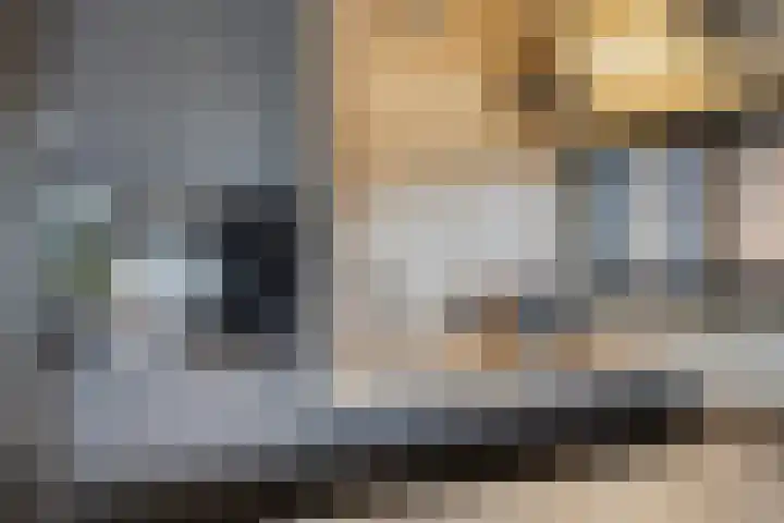 Julianastraat 9 Valburg thumbnail 49
