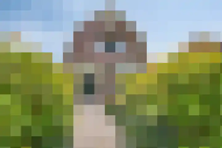 Julianastraat 9 Valburg thumbnail 5